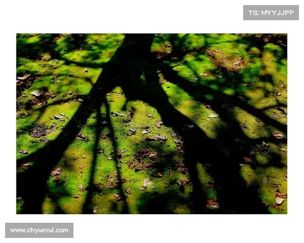 精灵传说中的核心理念与人类文化中的自然与神秘世界的交融探讨